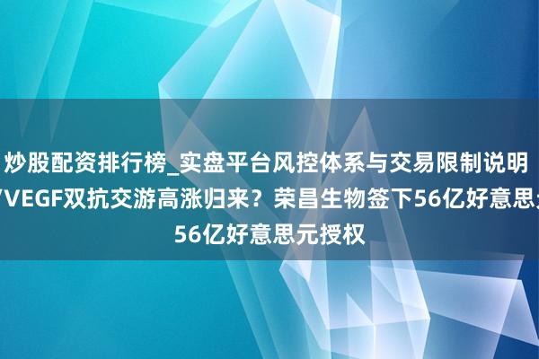 炒股配资排行榜_实盘平台风控体系与交易限制说明 PD-1/VEGF双抗交游高涨归来？荣昌生物签下56亿好意思元授权