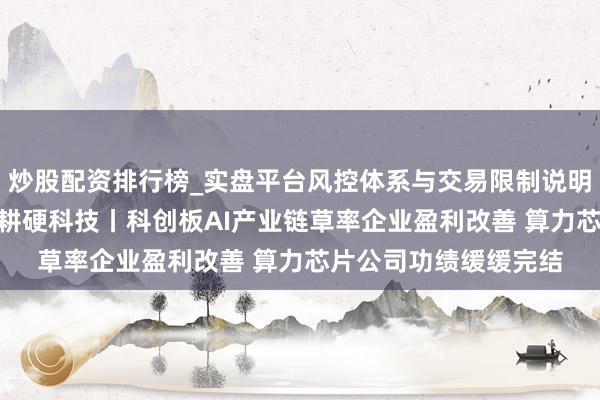 炒股配资排行榜_实盘平台风控体系与交易限制说明 开局“十五五”，春耕硬科技丨科创板AI产业链草率企业盈利改善 算力芯片公司功绩缓缓完结